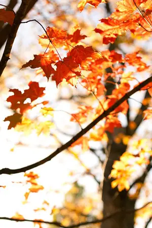 ปกนิยาย ชีวิตนี้น้อยนัก