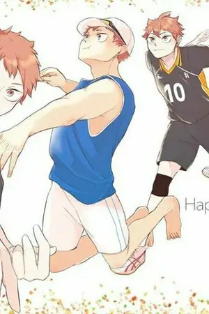 ปกนิยาย Haikyuu : Ninja from the Beach