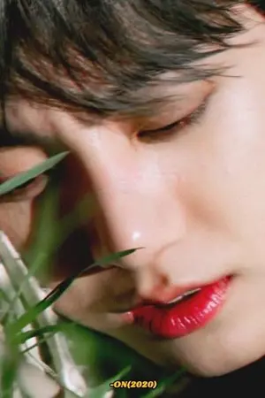 ปกนิยาย ( bts ) vkook ➳ ex island °