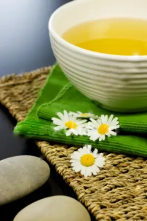 ปกนิยาย บันทึกหนุ่มรูปงามของจางเยว่ซิน