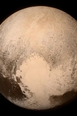 ปกนิยาย Warfare