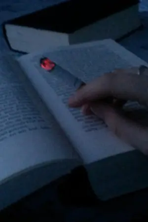 ปกนิยาย Lay in bed [All of OS&SF]