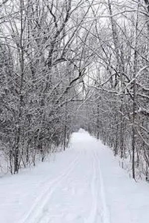 ปกนิยาย eternal vampire