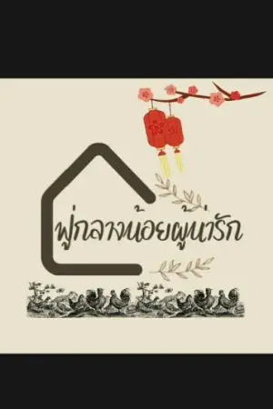 ปกนิยาย