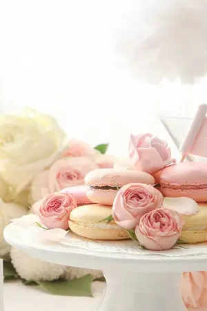 ปกนิยาย ต้องมนต์พยัคฆ์