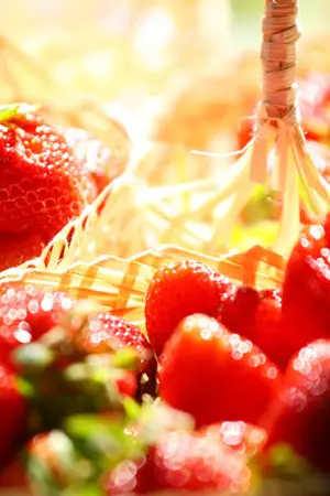 ปกนิยาย สุดคะนึงหา