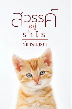 ปกนิยาย