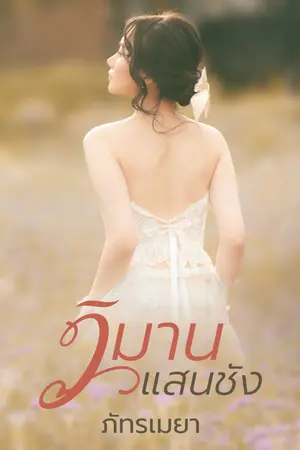 ปกนิยาย