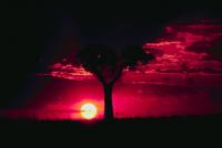 ปกนิยาย (yaoi) ชมรมลีท้าผา (ล่าท้าผี)