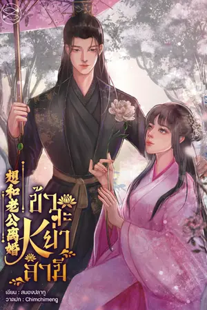 ปกนิยาย ข้าจะหย่าสามี 想和老公离婚