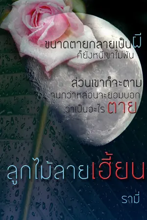 ปกนิยาย