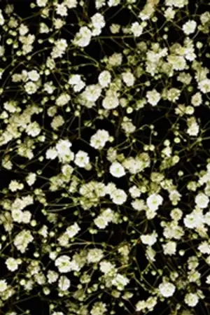 ปกนิยาย [sf/os] From time to time | CHANBAEK EXO