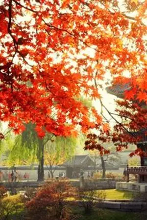 ปกนิยาย SEVENTEEN I COUSHAN I Captive...#เชลยจองฮัน