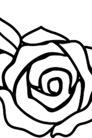 ปกนิยาย La Flora & Noah | The Story Of Love