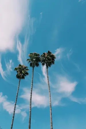 ปกนิยาย HIS LIL BOY ー markjin