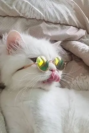 ปกนิยาย #คลังเก็บsk#