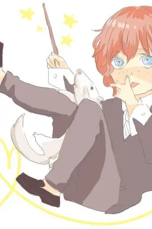 ปกนิยาย Fic Harry Potter | Twins with chaos [BL/YAOI]