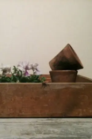 ปกนิยาย :: FLOWERBED ::  [SF:HAEEUN]