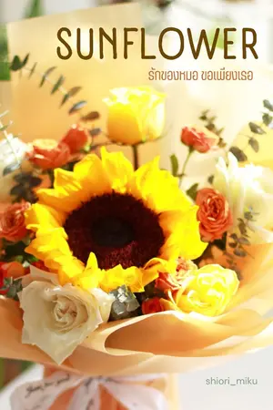 ปกนิยาย [มี E-Book] SUNFLOWER รักของหมอ ขอเพียงเธอ (yuri)