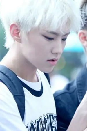 ปกนิยาย My First Impression