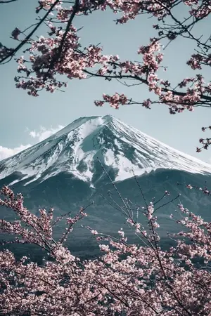 ปกนิยาย [FIC Kimetsu no Yaiba] Be Live เพราะอยากจะมี .. ชีวิตอยู่ยังไงล่ะ!