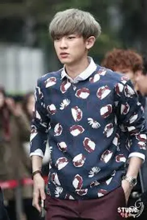 ปกนิยาย [exo x you] รักนายจังไอดอลหูกาง chanyeol x you