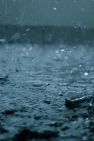 ปกนิยาย {อีกากินทุเรียน} คนเดียวที่ 'คิดถึง'