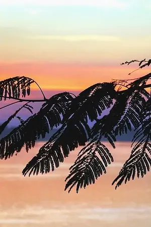 ปกนิยาย คุณหลวงสะออน