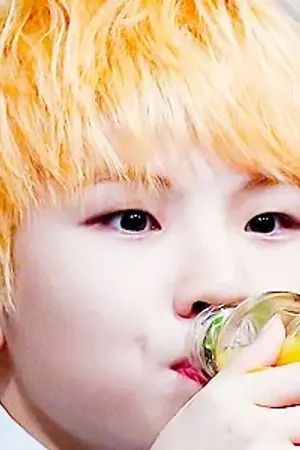 ปกนิยาย SEVENTEEN  | MINGYU  Vs SEUNGCHEOL