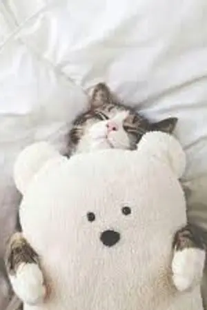 ปกนิยาย [ChanBaek] Autistic #แบคพิเศษ