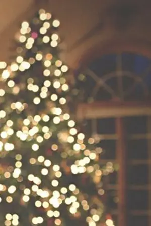 ปกนิยาย [2-Shot:TWICE] Wish upon a Snowflake (MiChaeng)