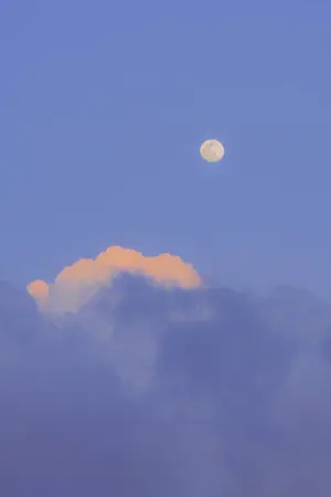 ปกนิยาย [Yaoi] ฟ้าแค่เคยชอบ