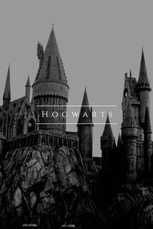 ปกนิยาย [Fic : Harry Potter] After the War | DM/HP