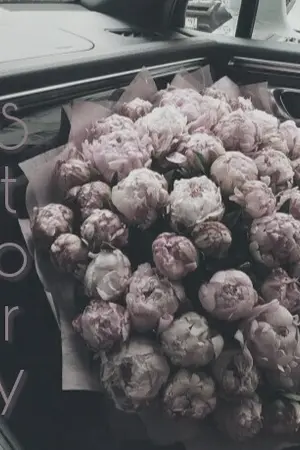 ปกนิยาย [OS] - Alphabet Story - [VGA/KOOKMIN]