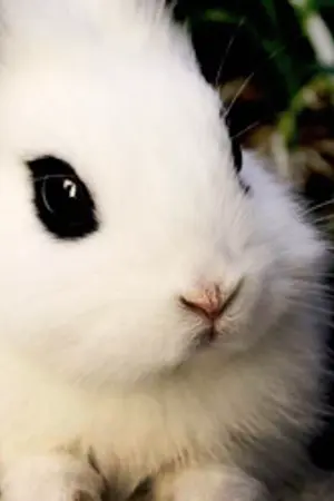 ปกนิยาย { SF } ♡LULAY♡