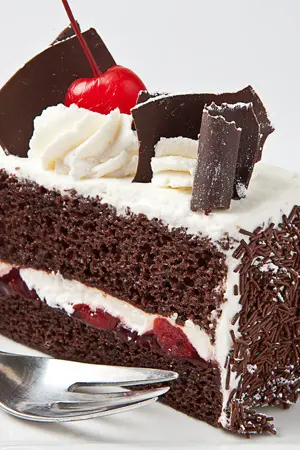 ปกนิยาย [Fic HopeV]ฺBlack Forest รักนะไอโหด