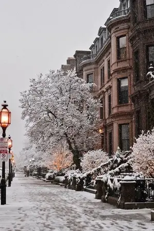 ปกนิยาย ' เพราะลมหนาว '