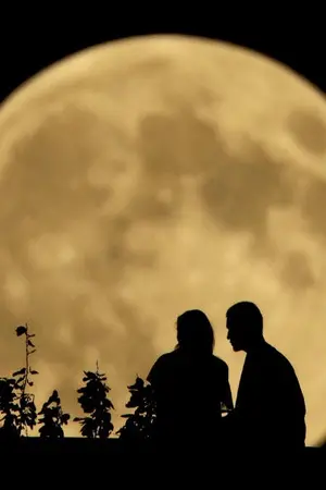 ปกนิยาย หนึ่งจันทร์เคียงใจ