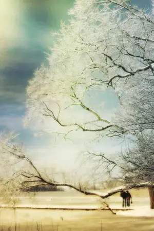 ปกนิยาย รัตนมณีแห่งหัวใจ