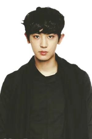 ปกนิยาย EXO X YOU (Chanyeol) ภารกิจพิสูจน์รัก