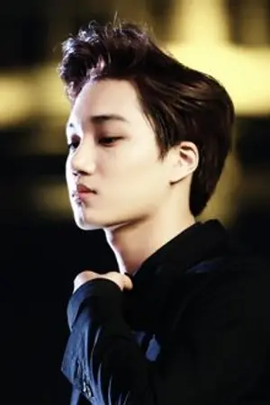 ปกนิยาย EXO X YOU (kai) ความแค้น