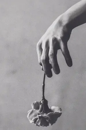 ปกนิยาย NCT | andante | sf-os | taeil (Markil)