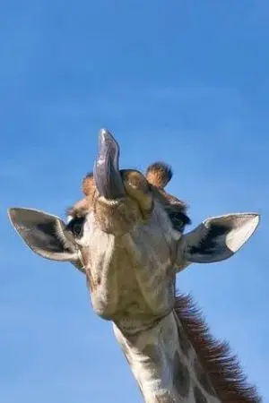 ปกนิยาย ผมจะเป็นคนต่างด้าวที่ร่ำรวยที่สุด #ไอดำดีเพื่อนรัก