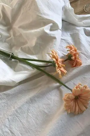 ปกนิยาย (EXO) SF / OS | TAPE :: CHANBAEK