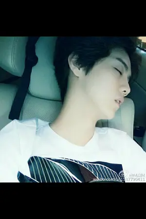 ปกนิยาย Love and Like ฉันรักแก๊งนายสุดฮ็อท #ลู่หาน