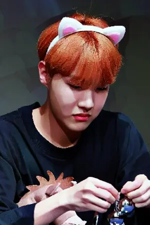 ปกนิยาย [FIC BTS] 30 Days with Hopecat ♡ KOOKHOPE