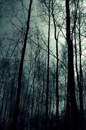 ปกนิยาย 7 Days in the Forest. 7วันกับการพิสูจน์ป่ามรณะ