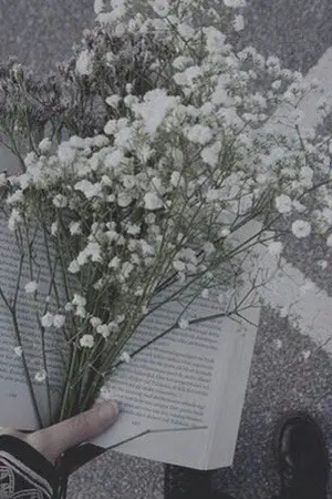 ปกนิยาย [BTS] Wonderful blessings | Vga