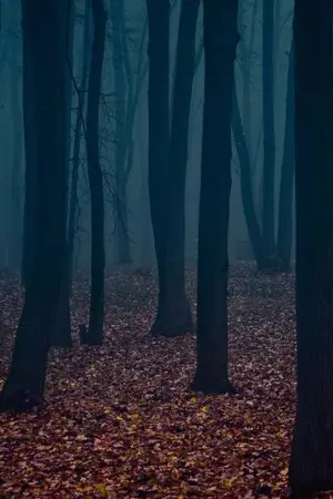 ปกนิยาย Dark rose กุหลาบรัตติกาล ตอน เขาวงกตแห่งความลับ