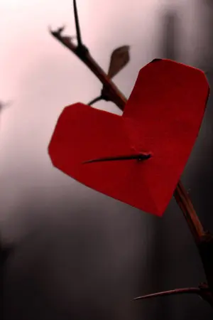 ปกนิยาย Love hurts the series  [ chankai , taohun , chanhun ]